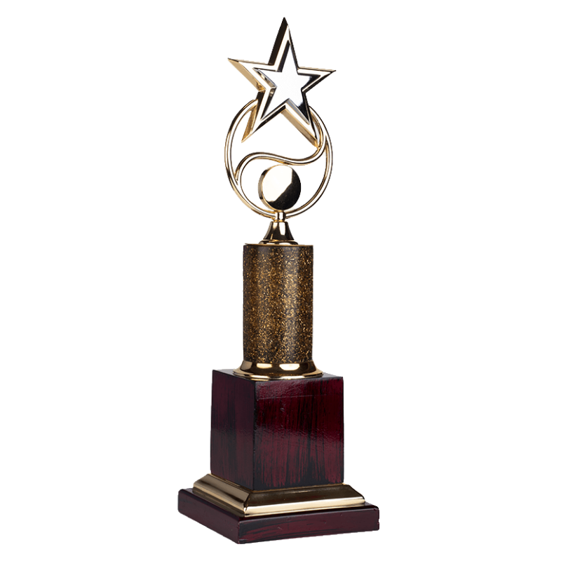 Award showcase by Trophy Xpert